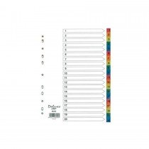 Deluxe Divider Plastic Colored A4 with numbers 1-20
