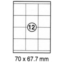 xel-lent 12 labels/sheet, straight corners, 70 x 67.7 mm, 100sheets/pack